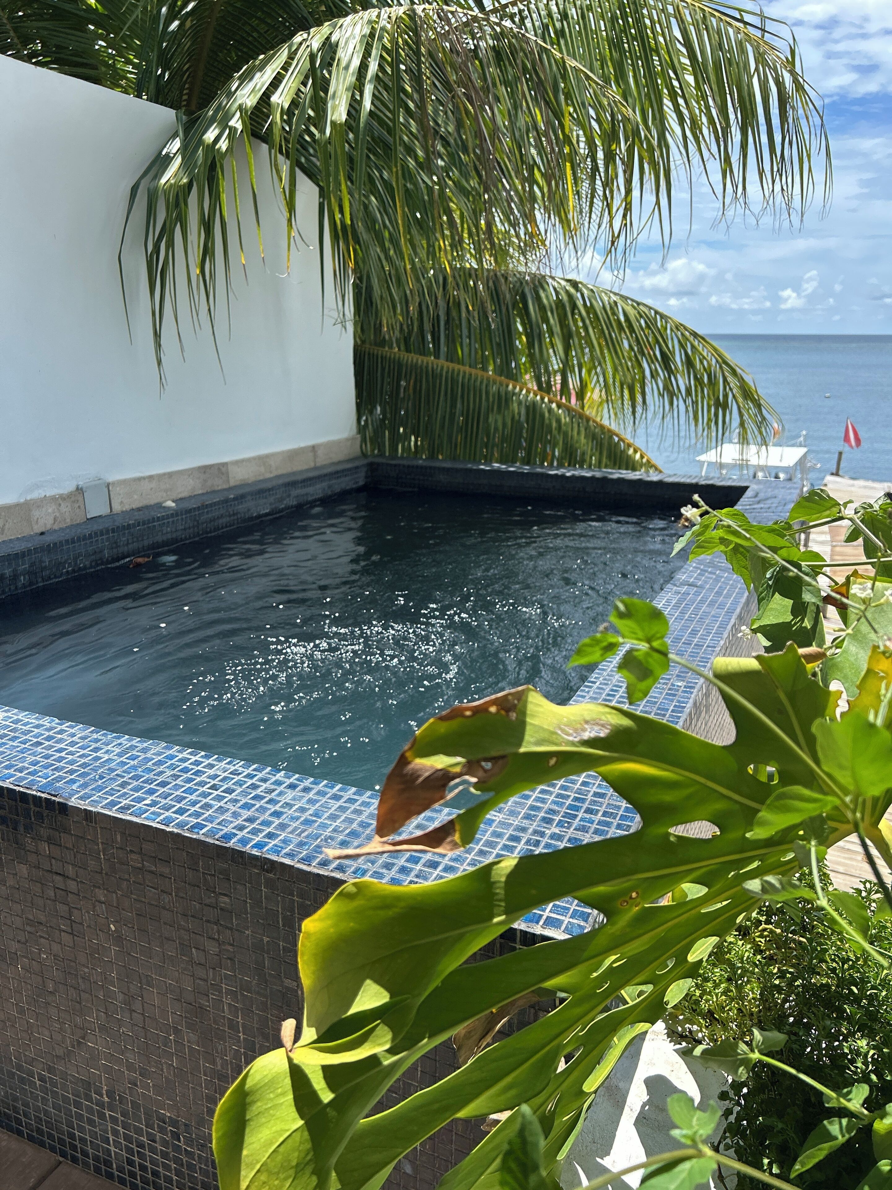 A pool with a tiled edge, surrounded by greenery and a view of the sea.