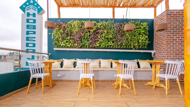 A rooftop terrace with wooden flooring, white chairs, a wooden bench, and a green wall with hanging baskets. - Hospedaje Muñoz (Ica)