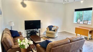 Smart TV, chimenea, reproductor de DVD y libros