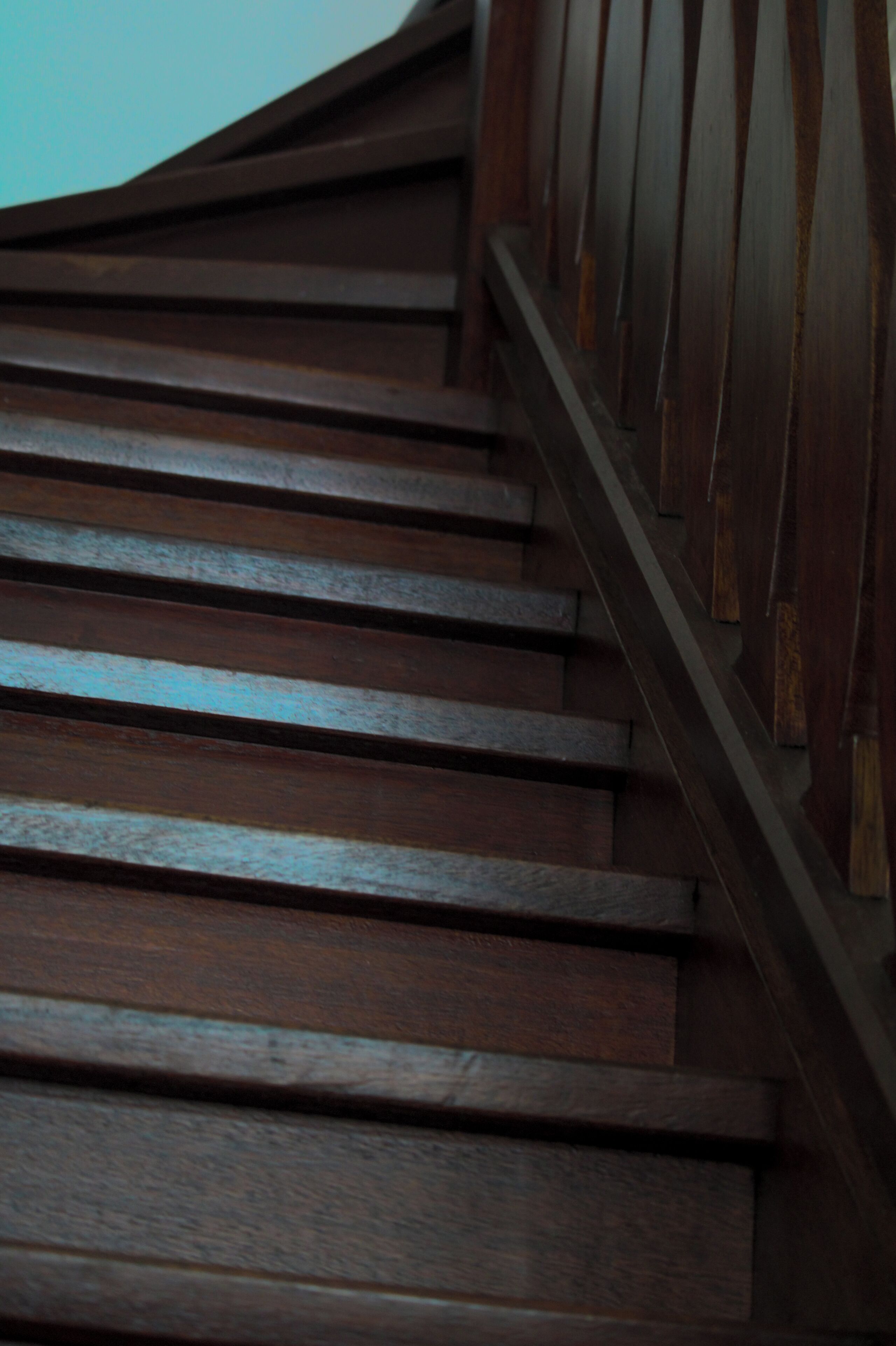 Foto - Kura Botanica Hotel