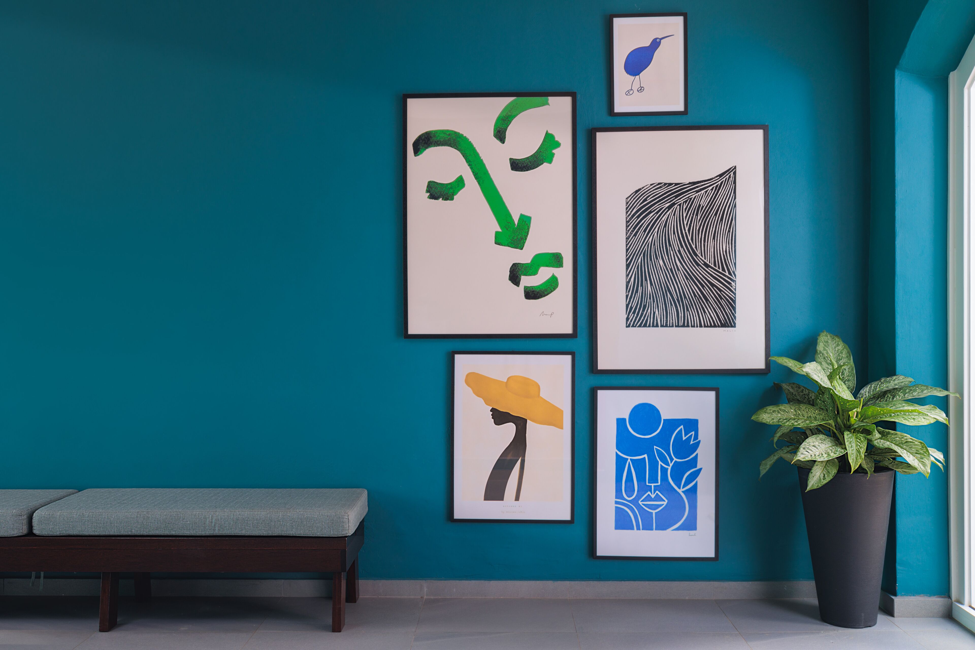 A teal wall with five framed artworks, a bench, and a potted plant.