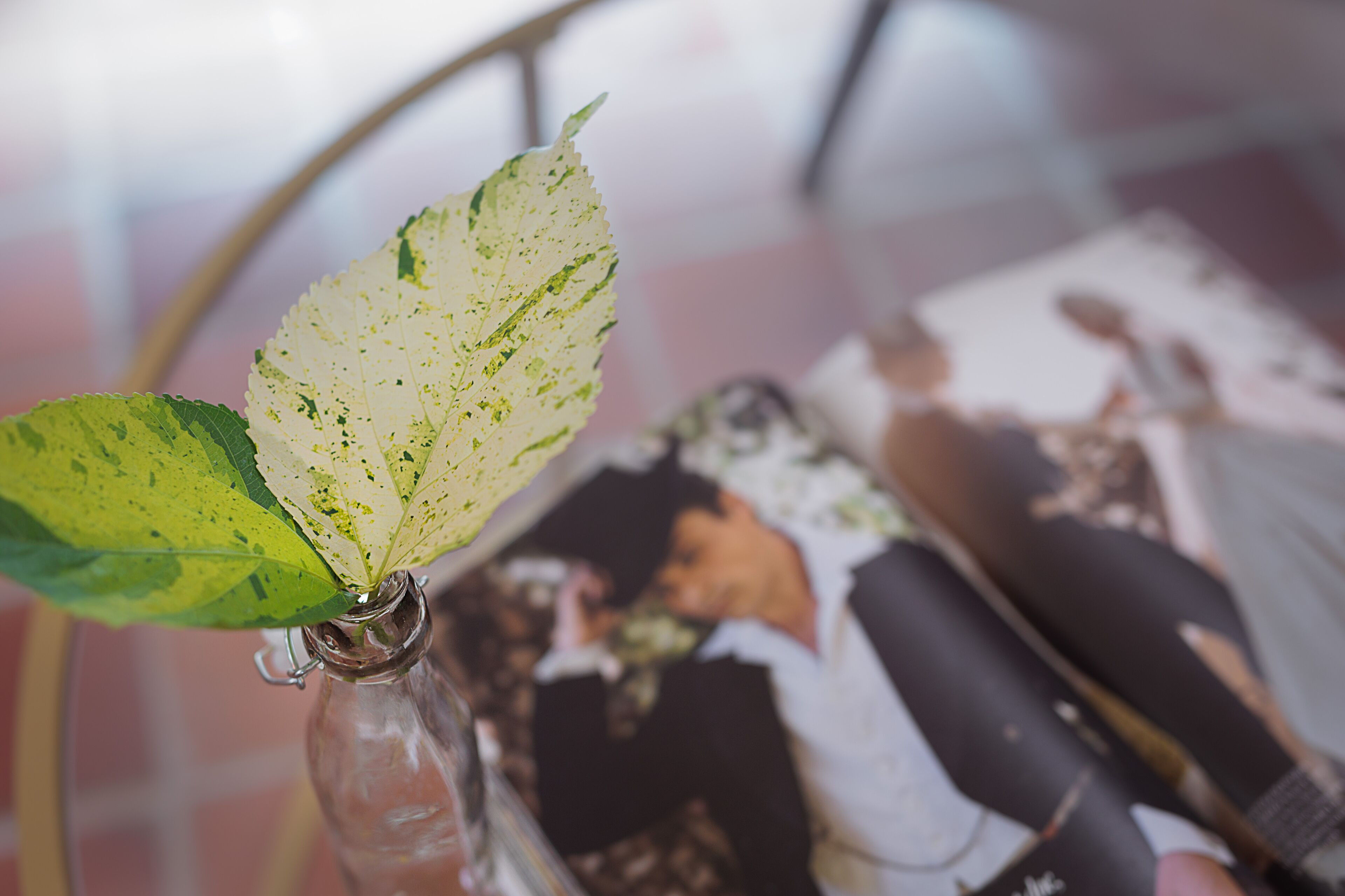 A glass vase with a leaf and a magazine.