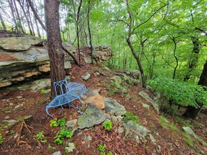 Property grounds - Modern Comforts Amidst The Beauty Of Nature (Cloudland Canyon)
