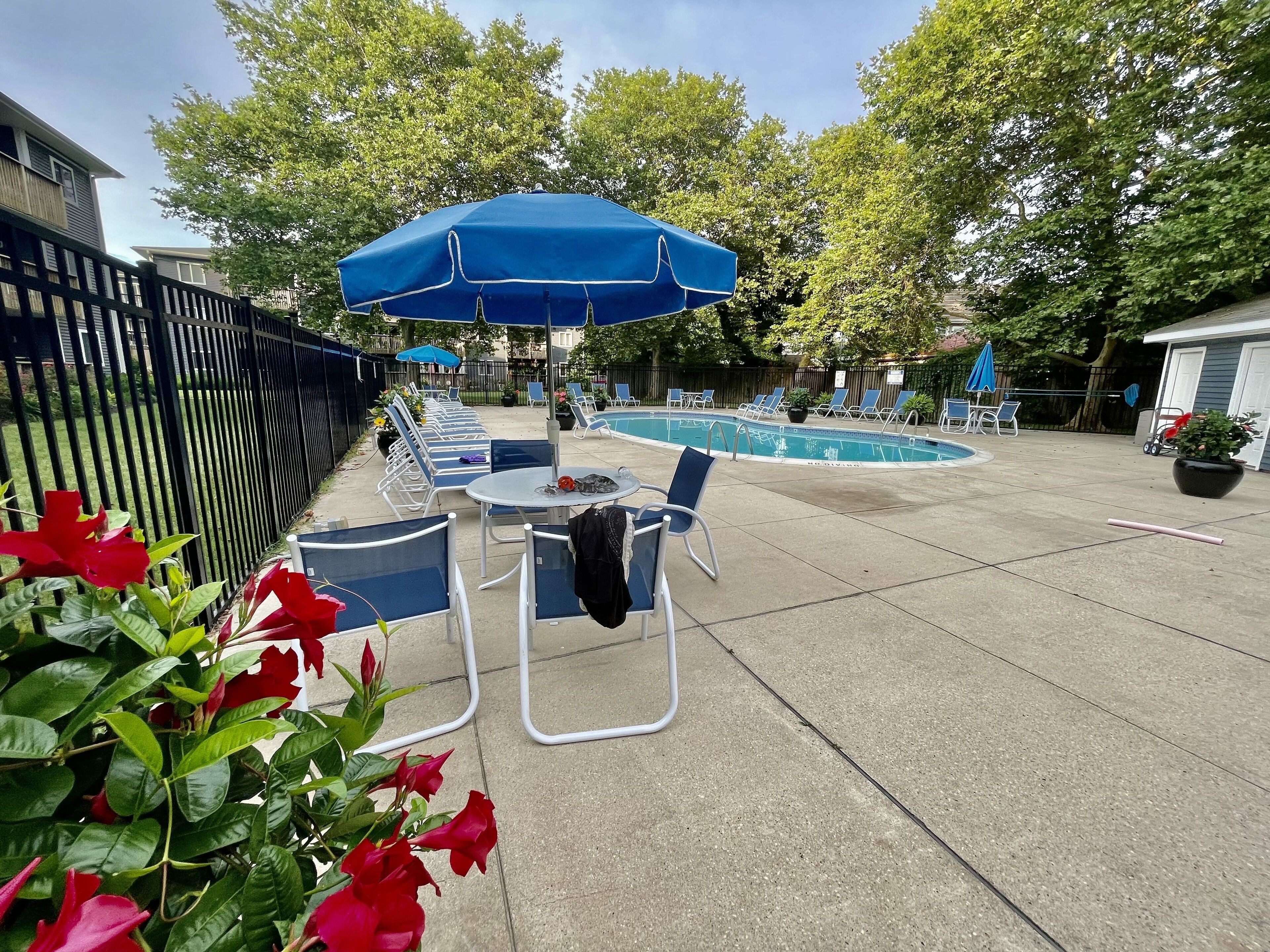 Una piscina al aire libre