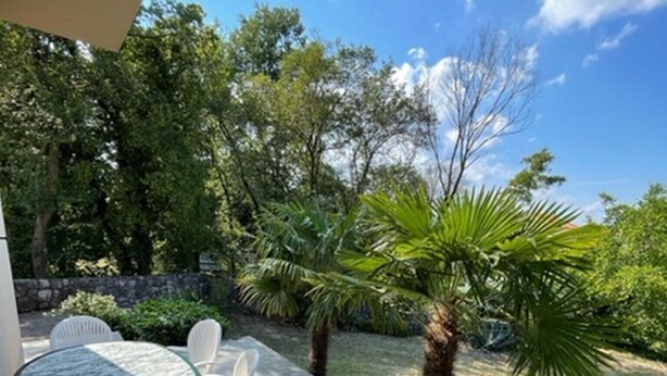 Une terrasse extérieure avec une table et des chaises, entourée d’un jardin agrémenté de palmiers et d’un mur en pierre.