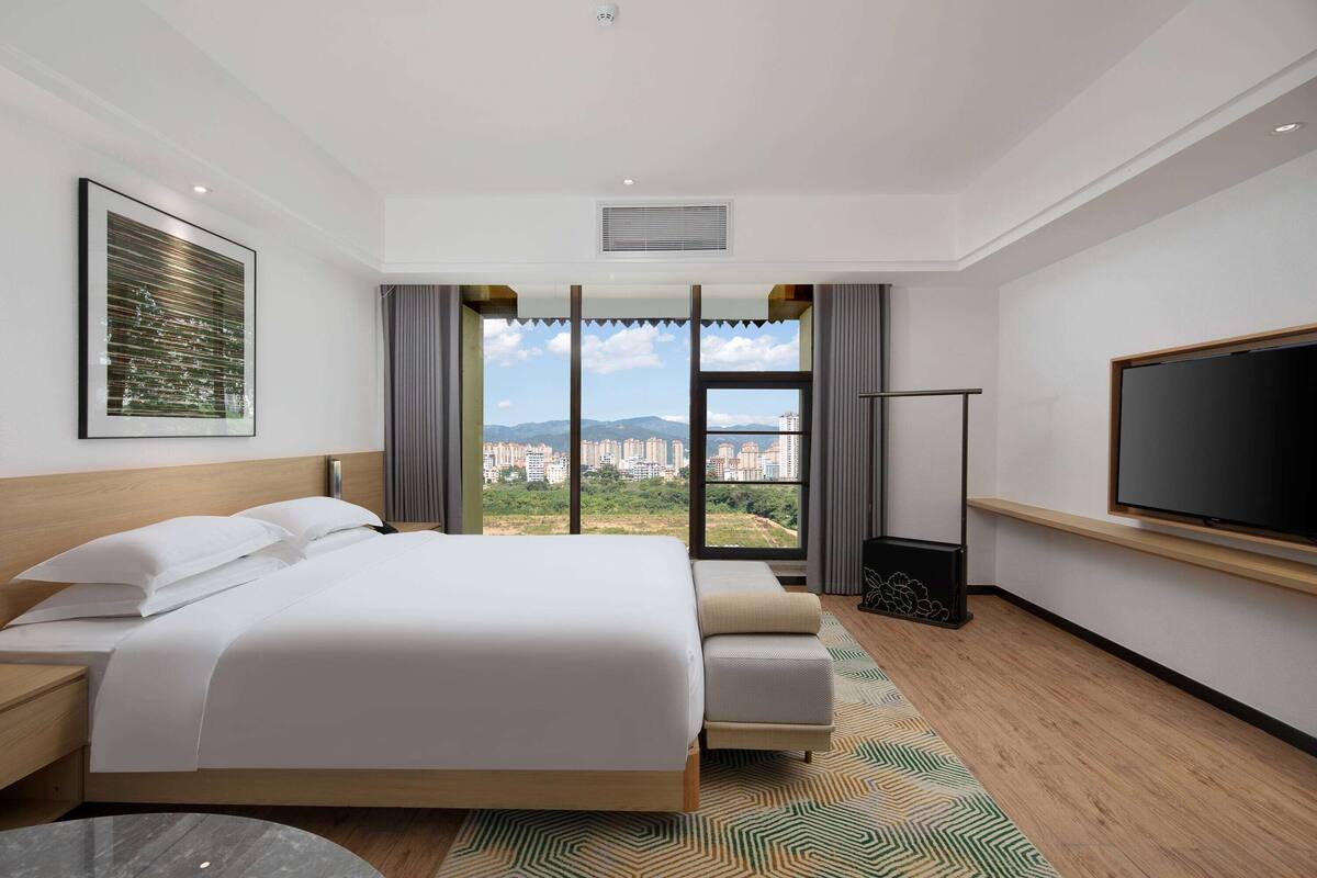 deluxe suite, 1 king bed, non smoking