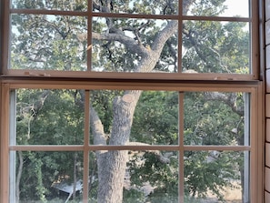 Cook with a view!
