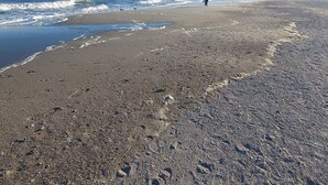 Ein Strand mit weitreichendem Sand, sanften Wellen und wolkenlosem, blauem Himmel.