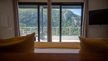 1 間睡房、上網