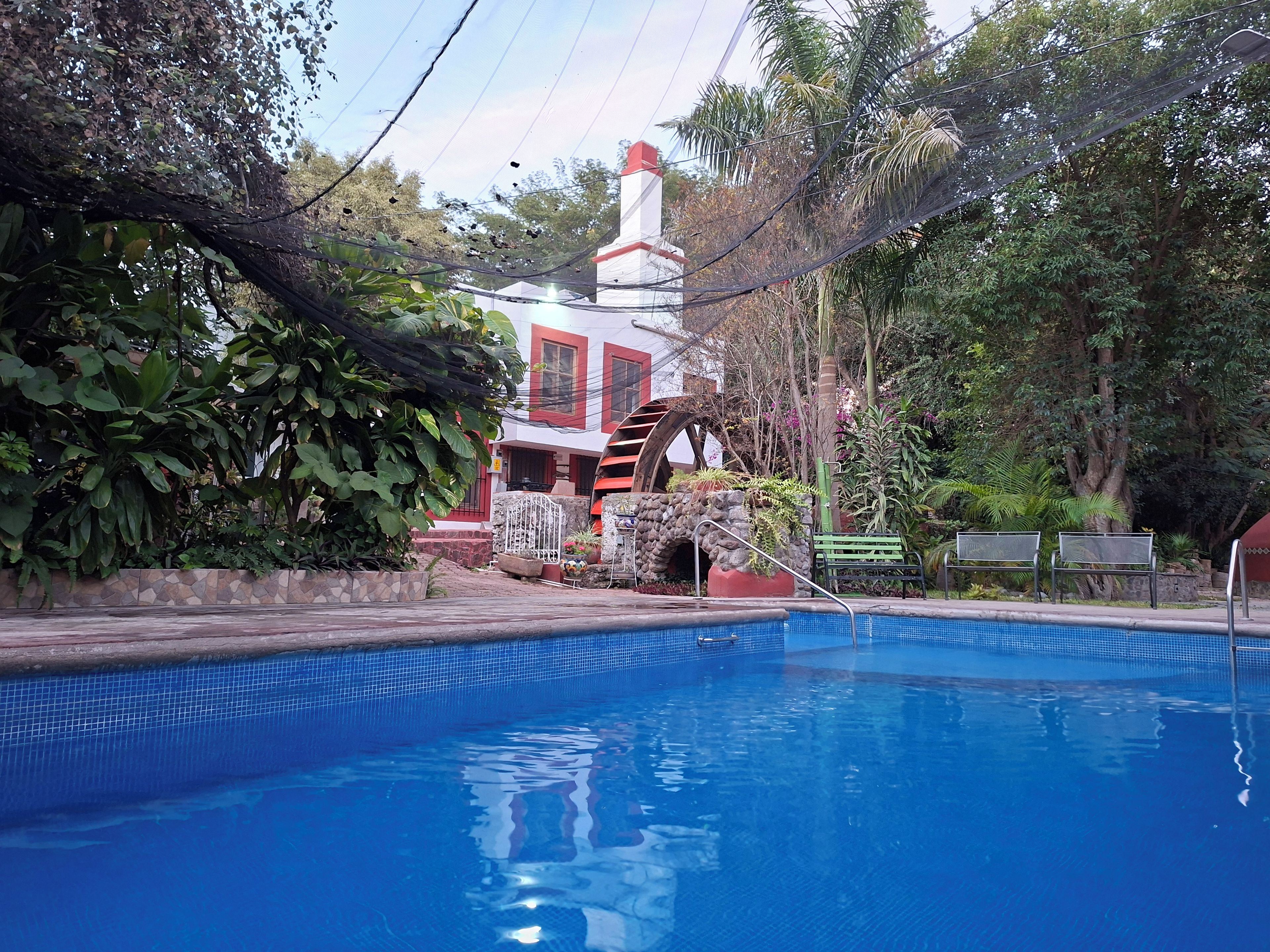 Une piscine bordée de pierres, entourée d’une végétation luxuriante et adossée à un bâtiment aux accents rouges.