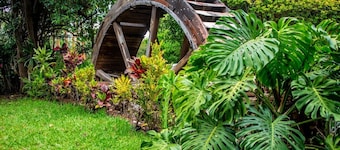 El Molino Hotel Boutique