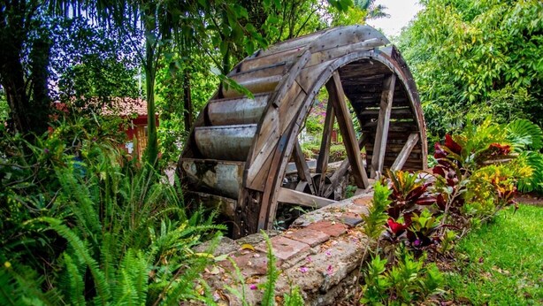 Uma roda de água rústica num jardim exuberante, com samambaias e plantas floridas.