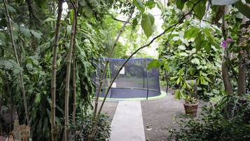 Een tuin met een trampoline en planten in potten.