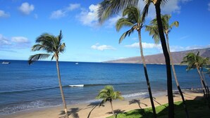 Una playa con palmeras y un cielo azul despejado.