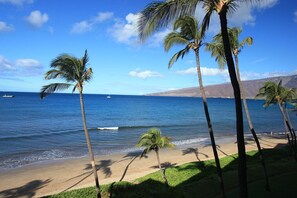 Plage, chaises longues, serviettes de plage