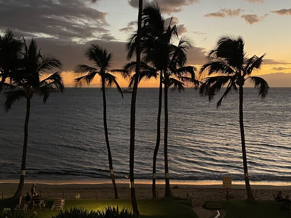 A beach with palm trees and a sunset.