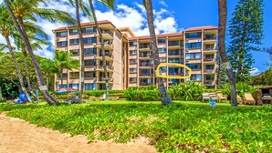 Un hotel de varios pisos con balcones, rodeado de palmeras y vegetación.