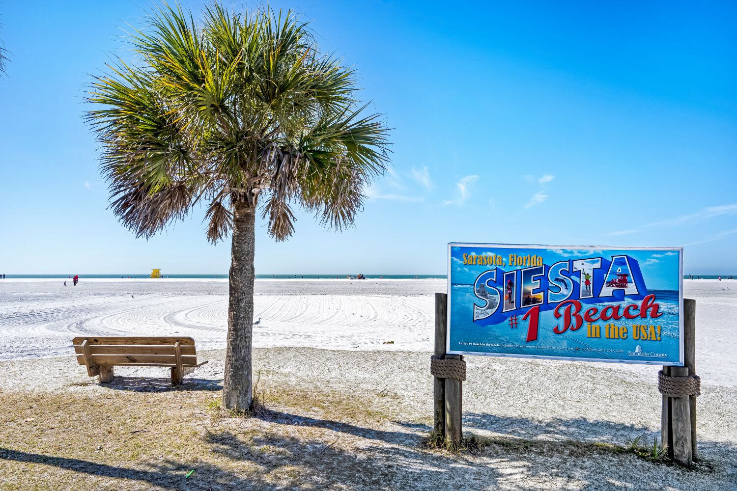 Un panneau sur la plage avec l’inscription « Sarasota, Floride, la meilleure plage des États-Unis ! », un banc en bois et un palmier.