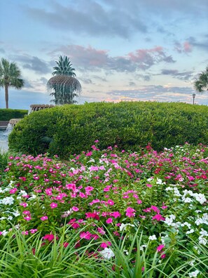 Parco della struttura