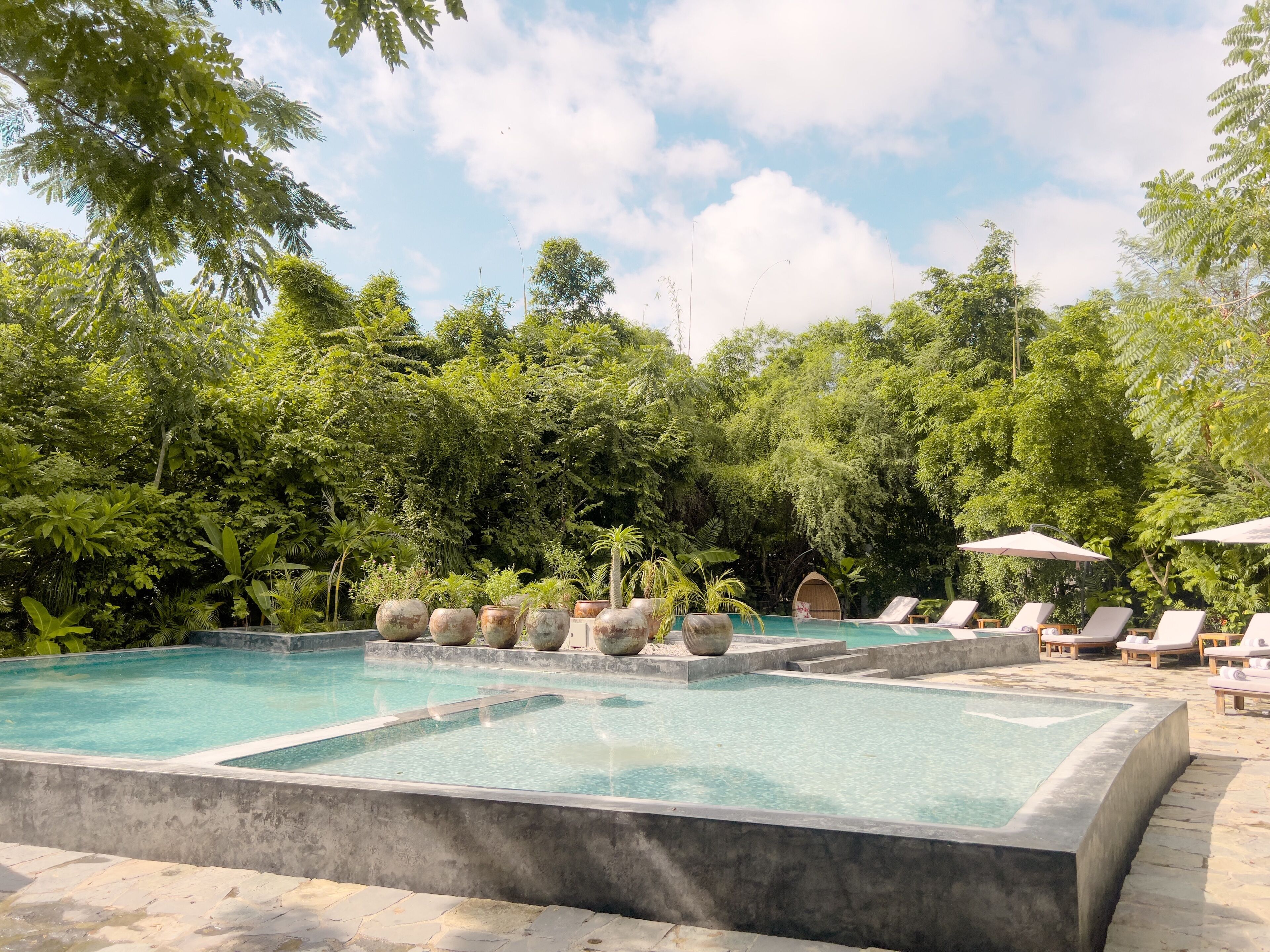 Un área de piscina con varias piscinas, rodeada de exuberante vegetación y árboles.