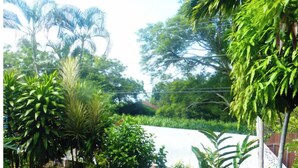 A lush garden with various plants and a wooden fence. - May Rose Cottage lower level (Captain Cook)