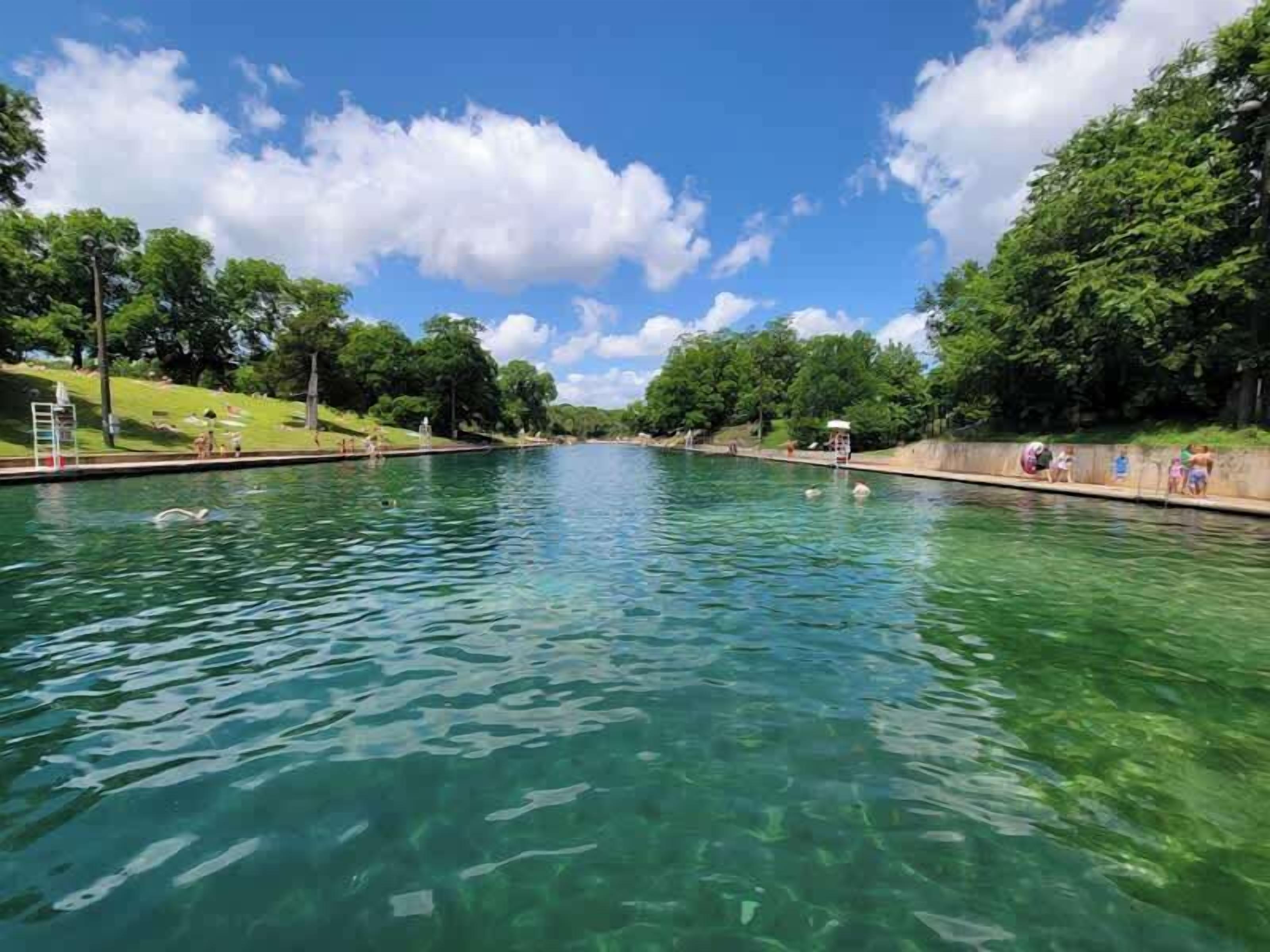 A swimming pool with clear water, surrounded by trees and a grassy area.