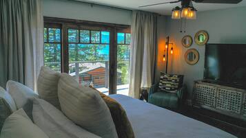 Smart TV, fireplace, music library, stereo