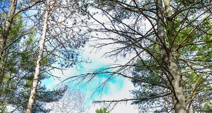 NEW Whiteface Mtn. View Cabin close to Lake Placid