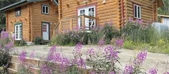Log Cabin with Amazing Mountain & Lake Views (allergy-friendly)