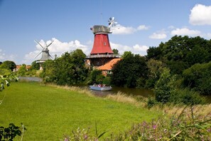 Unclassified image, 3 of 29, button