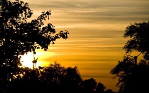 Unclassified image, 4 of 29, button