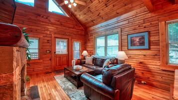 Smart TV, chimenea y libros