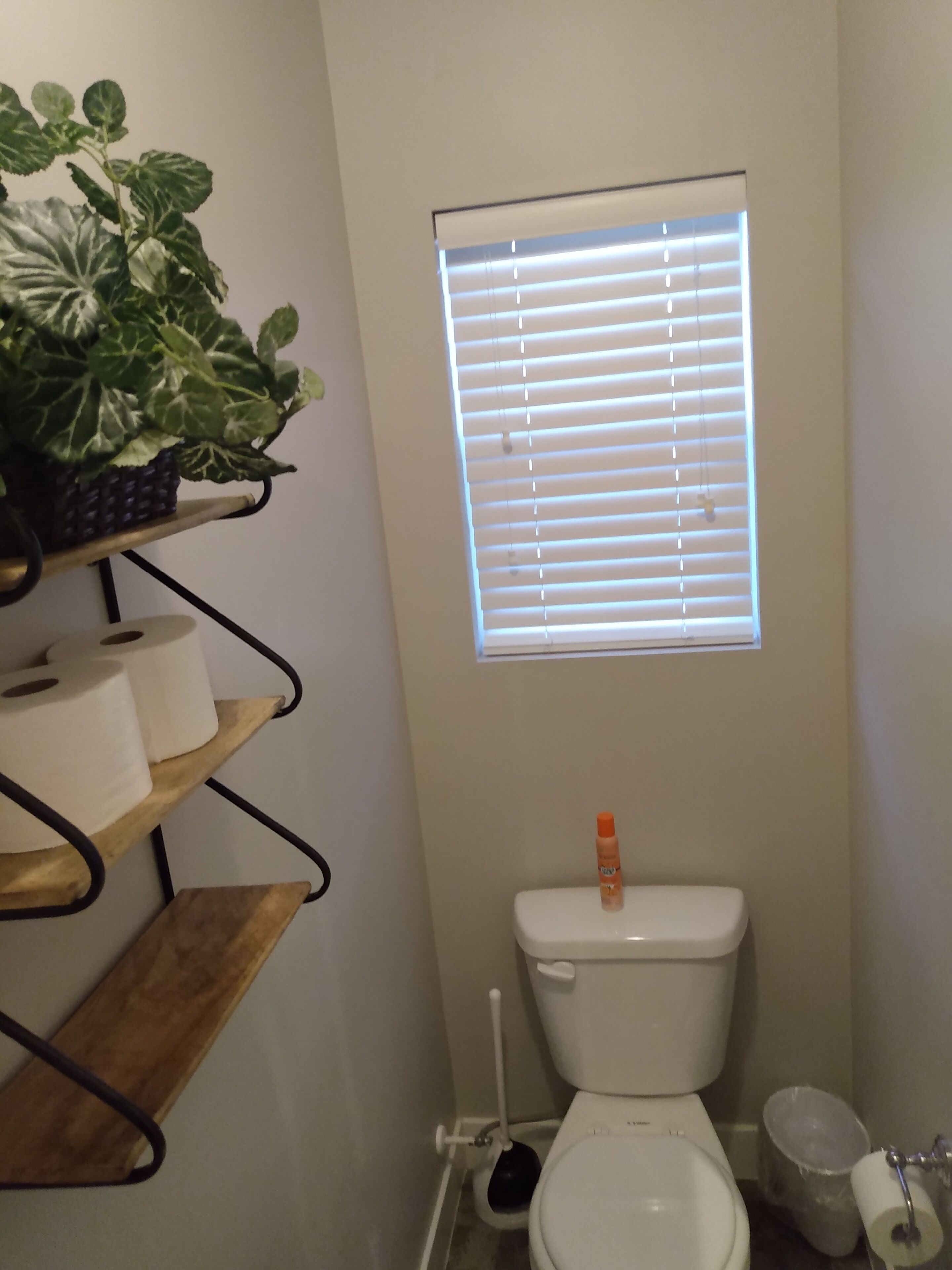 A small bathroom with a toilet, a window with blinds, a shelf with toilet paper, and a potted plant.
