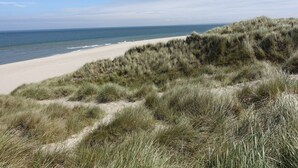 A beach with sand dunes and a clear view of the ocean. - Lena's Hüs - Beautiful thatched house for 6 pers. with sea view, garden, WLAN, (List)