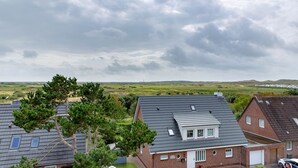 Eksteriør