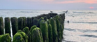 Sonneneck - Beautiful house for 6 pers. with terrace, parking space, WLAN.