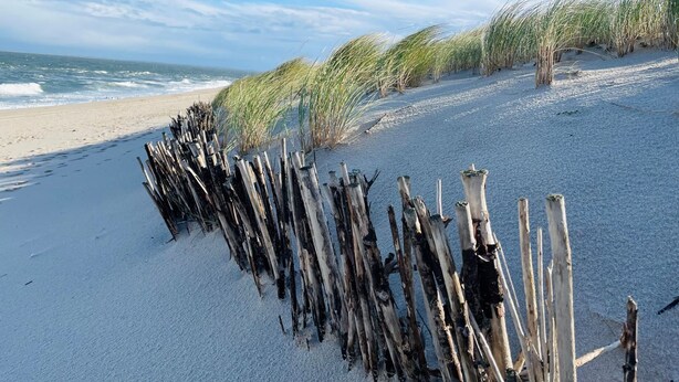 A beach with driftwood aligned along the shore, waves in the background, and a clear sky.