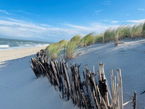 Ein Strand mit Treibholz entlang der Küste, Wellen im Hintergrund und einem klaren Himmel.