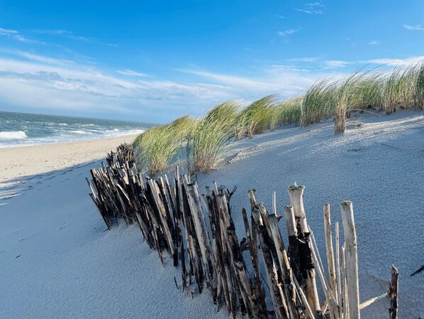 A beach with driftwood aligned along the shore, waves in the background, and a clear sky.
