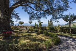 A garden with a large tree, potted plants, and a gravel path. - Villa Leone by MMega (Capannori)