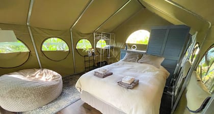 Your adobe among the trees