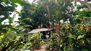 Une petite cabane rustique, entourée d’une végétation tropicale luxuriante.