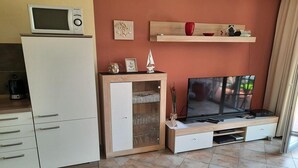 Un espace de vie compact comprenant un coin cuisine, un téléviseur et un meuble en bois doté de portes en verre.