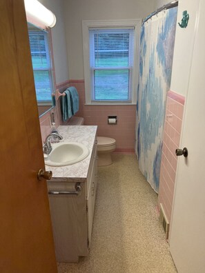 Duschwanne, Handtücher, Seife, Toilettenpapier