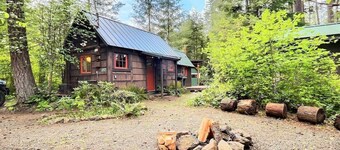 Ohana Cabin | WiFi, Wood Stove, AC, Hot tub