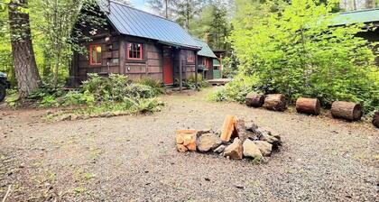 Ohana Cabin | WiFi, Wood Stove, AC, Hot tub
