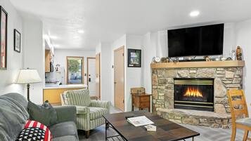 Smart TV, fireplace, books