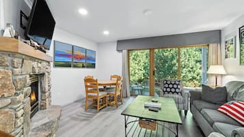 Smart TV, fireplace, books