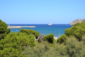 A coastal landscape with a rocky outcrop, a clear blue sea, and dense greenery.