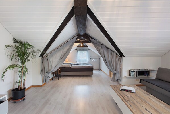 Televisio, videopelejä